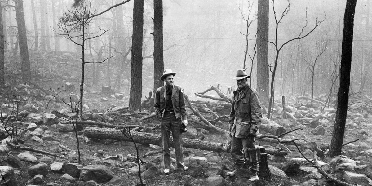 After the fire on Capitan Mountain